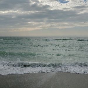 Meet your Posher, Dee